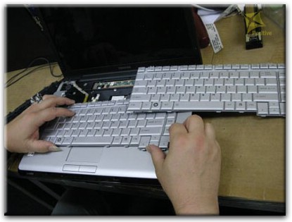 Ремонт клавиатуры на ноутбуке Toshiba в Гродно